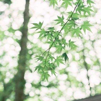 金沙集团9500官网app下载