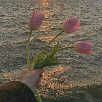 半岛彩票手机app下载