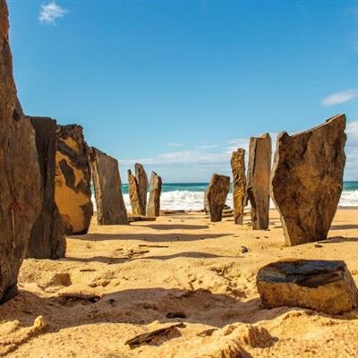 亚搏apo官网下载