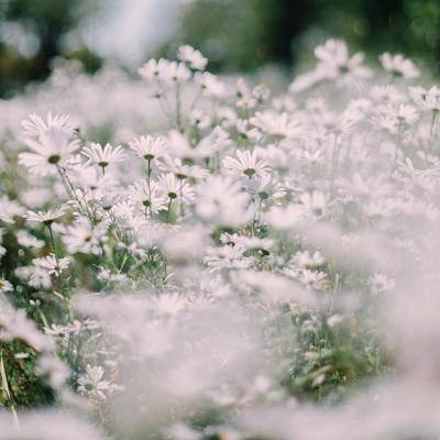 半岛彩票手机app下载