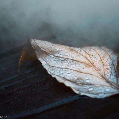 云平台登录注册入口