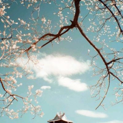 万博全站ManBetX4.79下载下载手机版